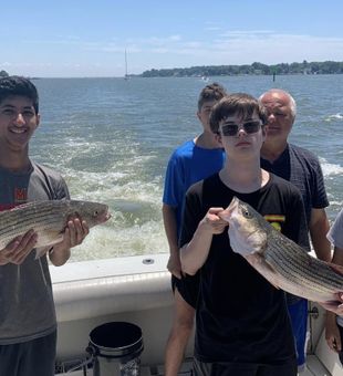 Chesapeake Bay Fishing Charters