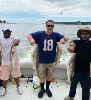 Stacked striped bass!