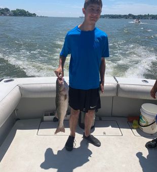 Proud striped bass!