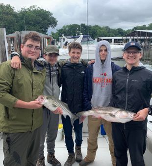 Striped bass success!