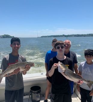 Team catch on Chesapeake Bay