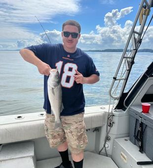 Victory striped bass!