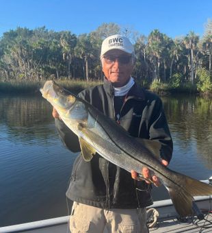 Top Florida Inshore Trips, Snook Fishing
