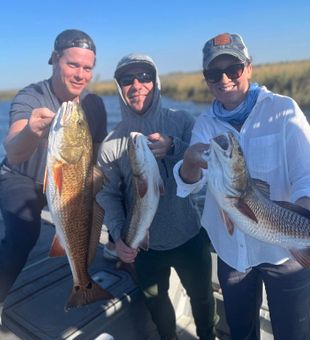 Top Homosassa Redfish Action