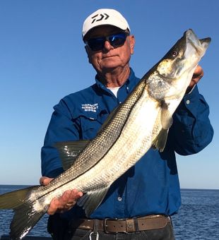 Florida Snook caught by a Seasoned Angler