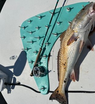 On the fly 