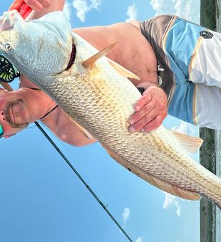 On the fly