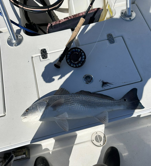 Light Tackle Fun in Virginia Waters