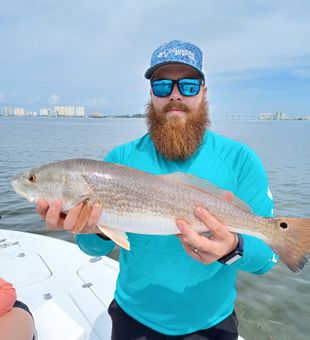 Clearwater redfish 