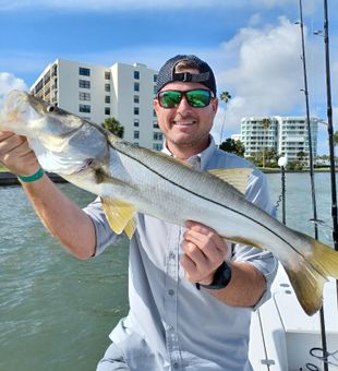 Indian Rocks Beach snook