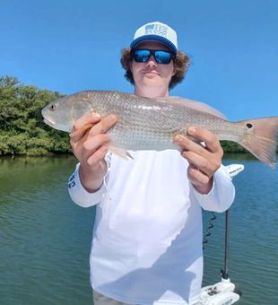 Tarpon Springs Florida redfish
