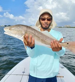 Clearwater redfish 