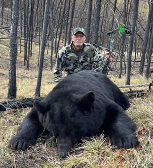 Tracked down the mighty black bear in Saskatchewan