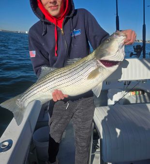 Bass Fishing in MA!