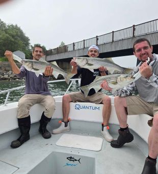 Triple striped bass success in Winthrop MA waters!