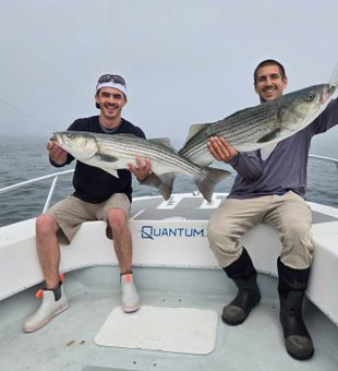 Double striped bass success in Winthrop MA!
