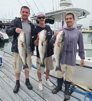 Triple striped bass success in Winthrop MA!