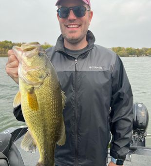 Smallmouth bass