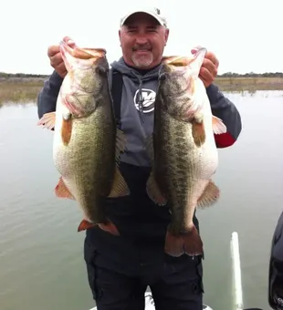 Early action on Lake Ivie
