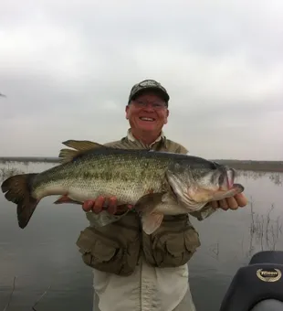 Bass fishing Voss, Texas