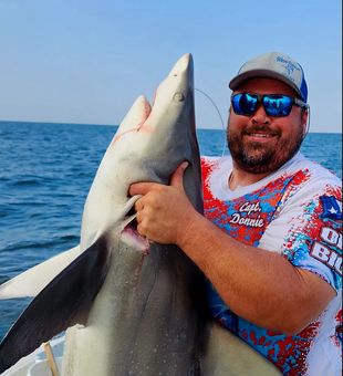 Galveston shark trip brought nonstop rod bending