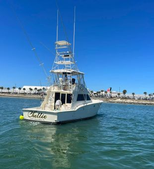 Port Canaveral Fishing: Where Every Cast Counts