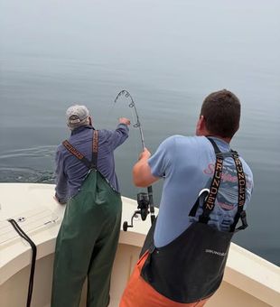 Ready for the ultimate offshore challenge? Head out from Newburyport, MA, and hook into hard-fighting sharks for an exciting fishing trip filled with heart-pounding action and unforgettable catches.