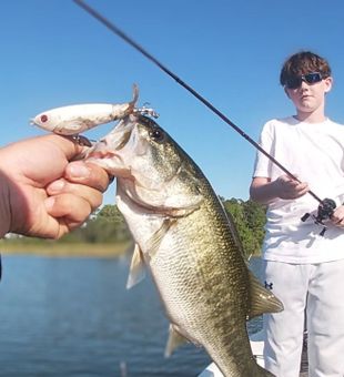 Reel in bass on Headwaters Lake waters