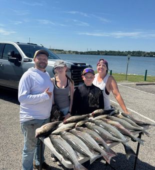 Chase trophy striped bass in Texas.