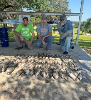 Stripers from Lake Whitney