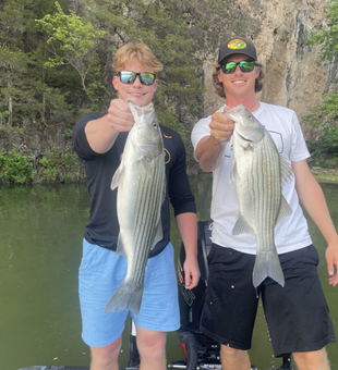 Largemouth Bass on Display at Lake of the Ozarks