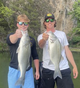 Bass Fishing in Lake Ozark