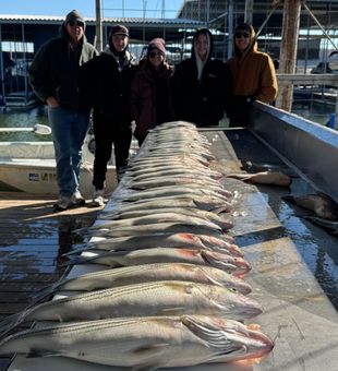 These boys banged out a limit of lake texoma striper in 45 minutes and said let’s get on the road 