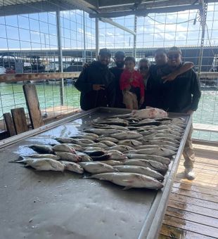 Productive day - Kingston, OK.