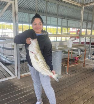 Large Size is consistent - Kingston, OK.