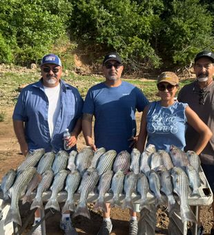 Lake Texoma Striper Action