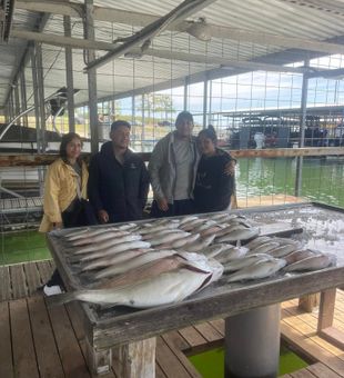 Stripers Haul! - Kingston, OK.