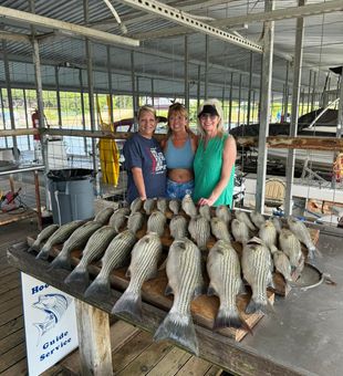 Lake Texoma Stripers are naturally big!