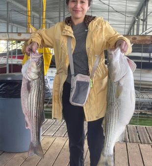 Big Striped Bass - Kingston, OK.