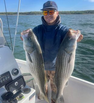 almost the size of a human - Kingston, OK.