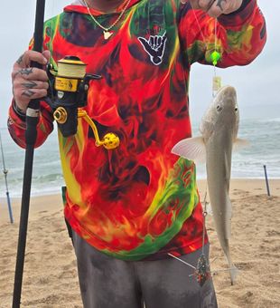 Something definitely bit my bait!