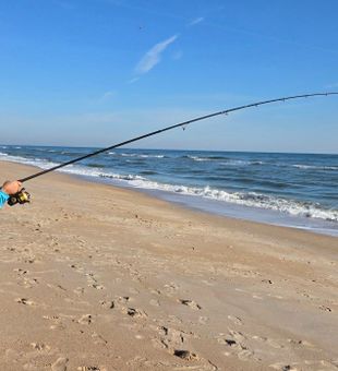 It took the bait, time to reel it in!