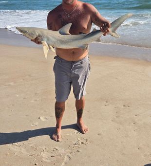 Powerful surf shark catch in New Smyrna Beach!