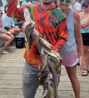 What a Haul! - New Smyrna Beach, FL.