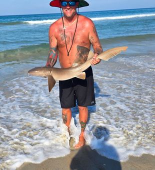 Shark time! - New Smyrna Beach, FL.