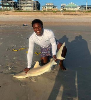 Nice shark landed from New Smyrna Beach surf!