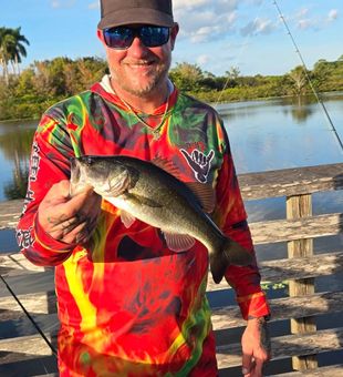 Solid largemouth bass catch