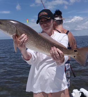 Redfish Fishing thrills in Homosassa today