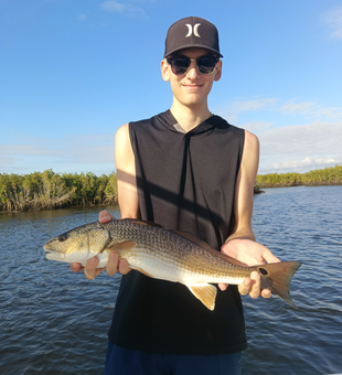 Beautiful Homosassa redfish ready for the boat!