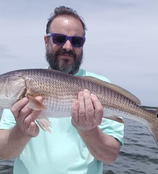 Shallow water, strong fights